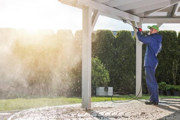 Best Soft Washing  in Piketon, OH